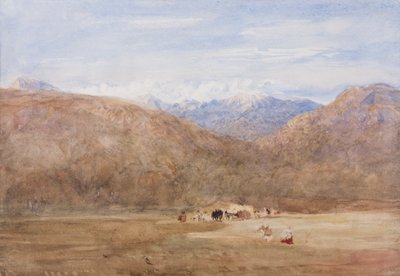 Cader Idris e Mynydd Moel da un prato sul Mawwdach vicino a Dolgellan, c.1840 da David Cox